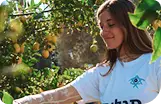 Volunteer in Israel