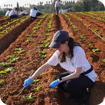 Freiwilligenarbeit in Israel